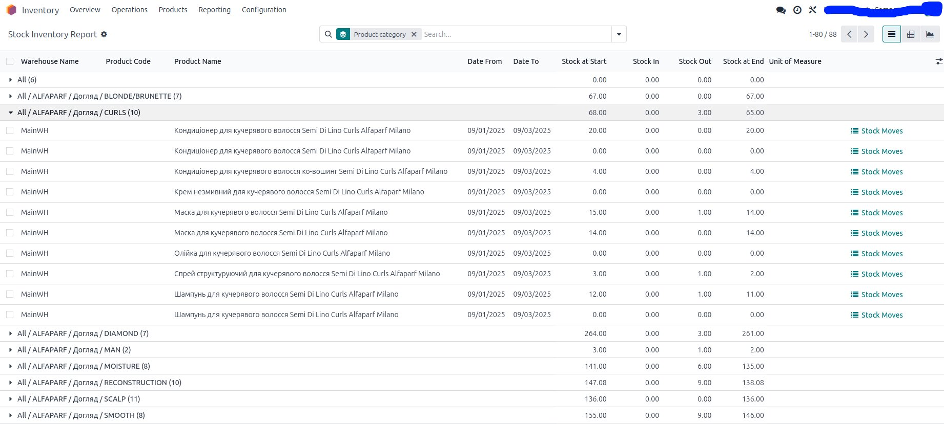 Step 2: View Generated Report